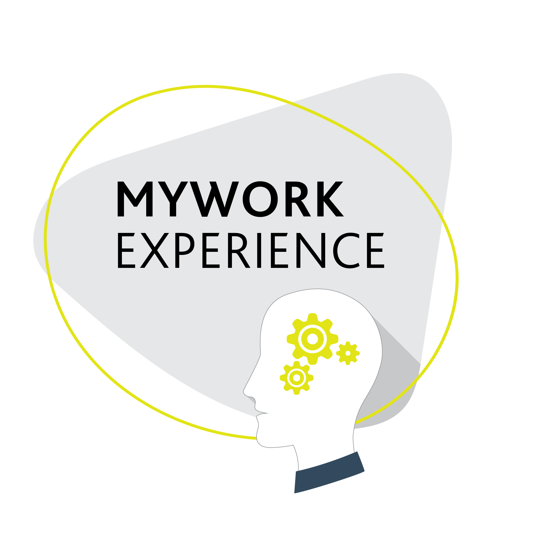 Mywork Experience